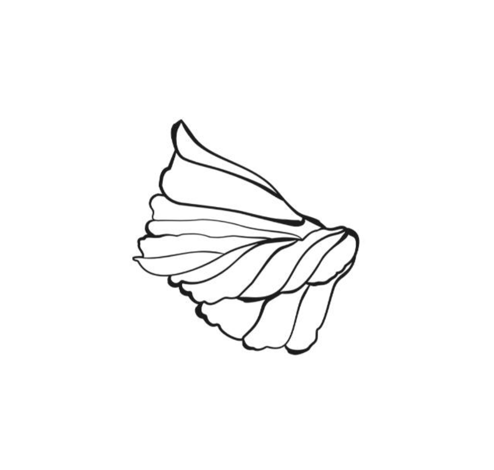 El Papagayo